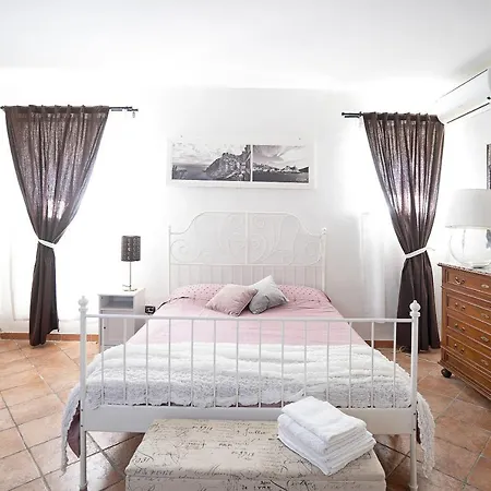 Rosadimaggio Camelia アルコラ