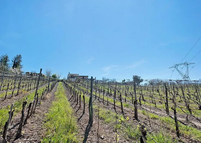 Apartamento Rosadimaggio Camelia