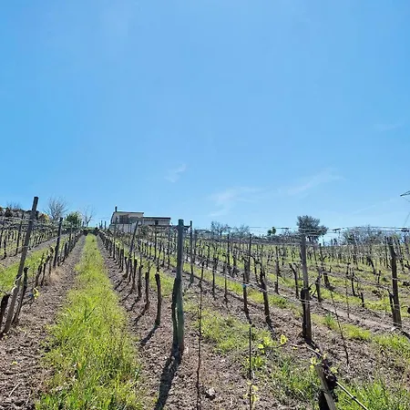 Appartement Rosadimaggio Camelia